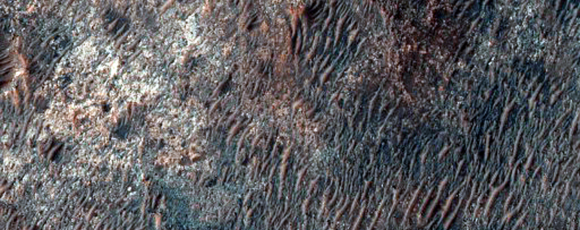 Light and Dark-Toned Intra-Crater Terrain in Terra Sabaea