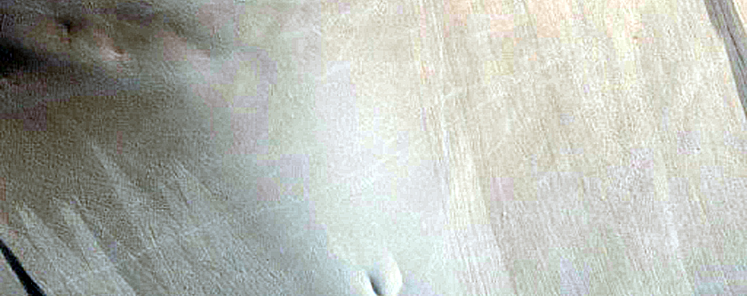 Light and Dark-Toned Slope Streak Monitoring Site