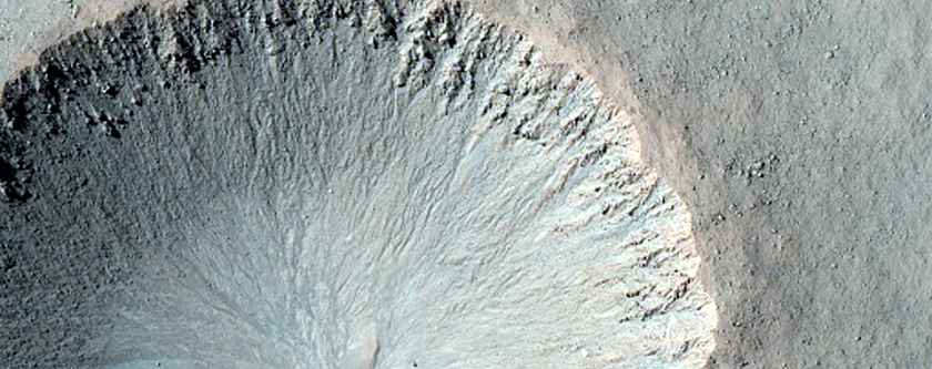 Gully Monitoring
