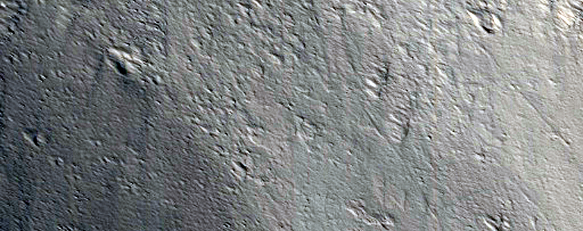 Possible Frost on West Flank of Olympus Mons