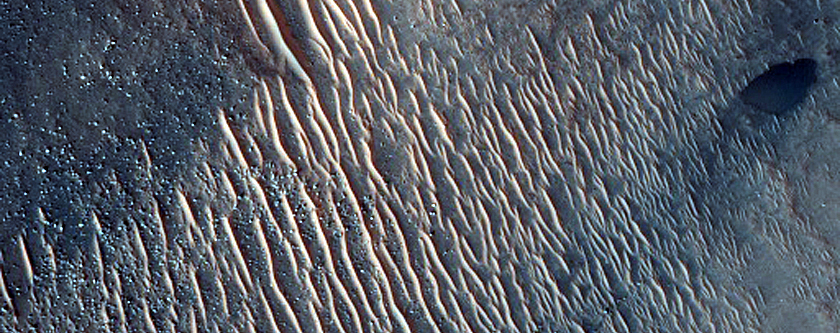 Dune Monitoring