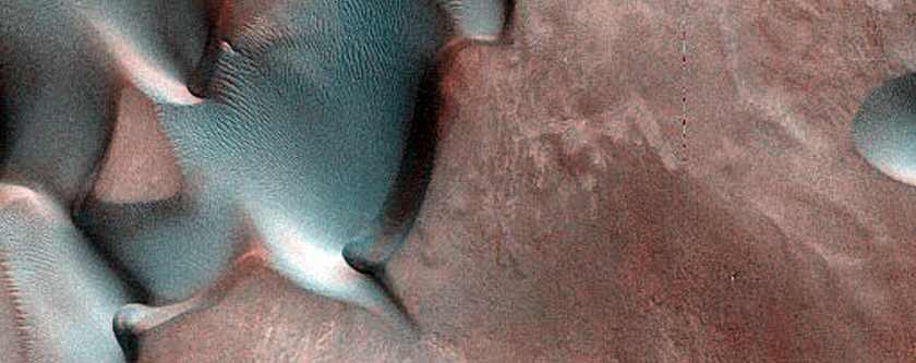Dune Monitoring in Davies Crater