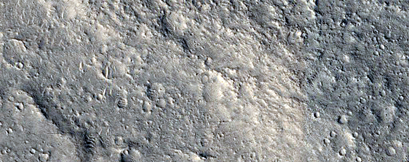 Searching for Dust Devil Tracks in Gusev Crater