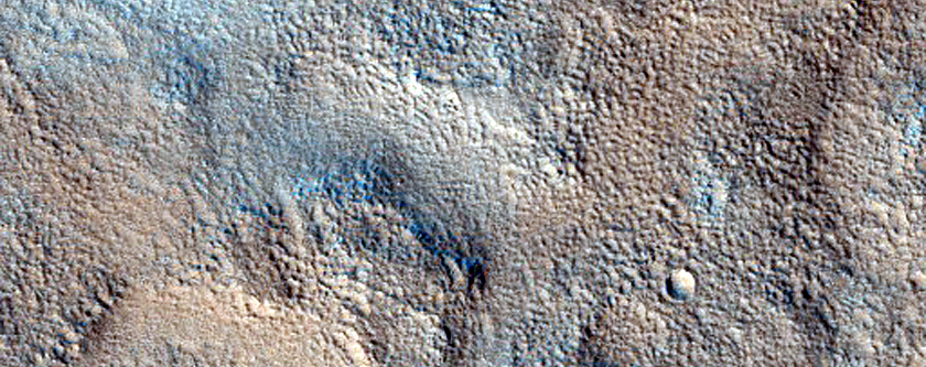 Contact in Utopia Planitia