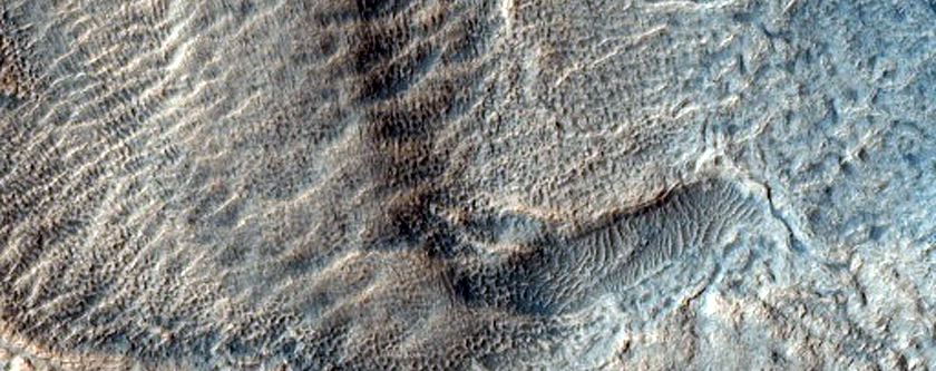 Crater Floor in Hellas Planitia
