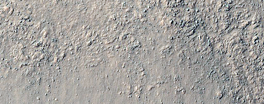 Gullies in Nereidum Montes