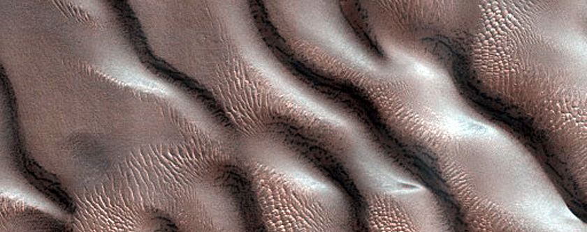Dune Monitoring in Milankovic Crater