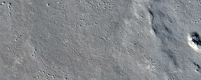 Lava Margin in Southern Elysium Planitia
