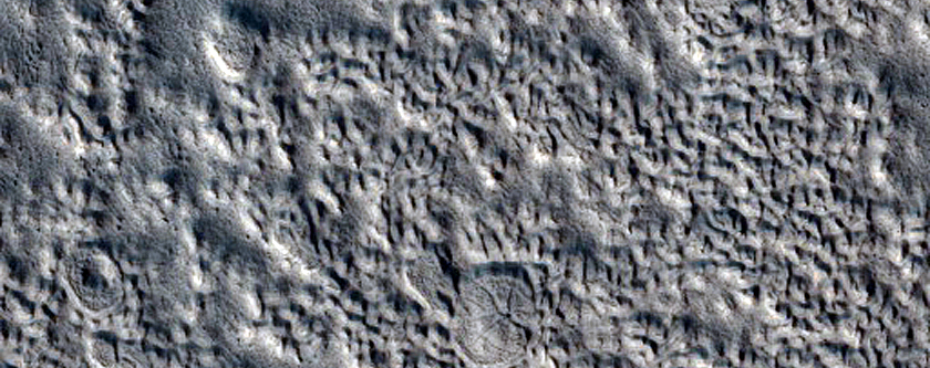 Terrain Sample