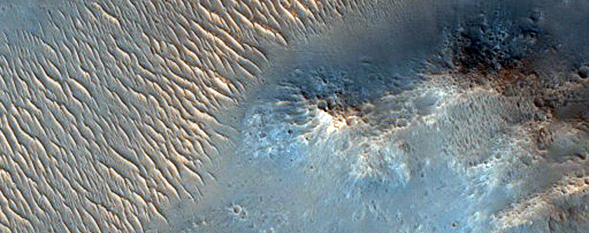Terrain Sample