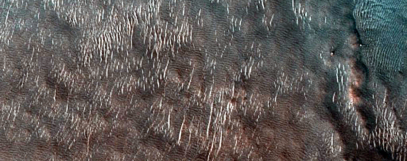 Dune Monitoring in Lyot Crater
