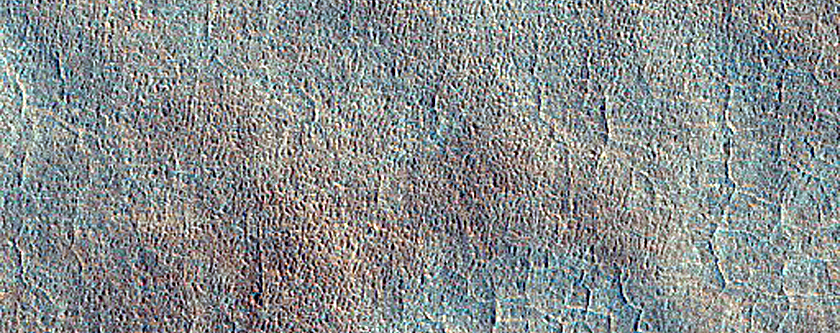 Contact in Utopia Planitia