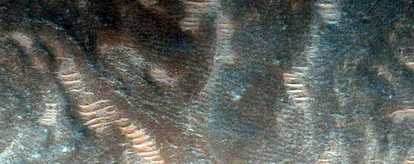 Dune Monitoring
