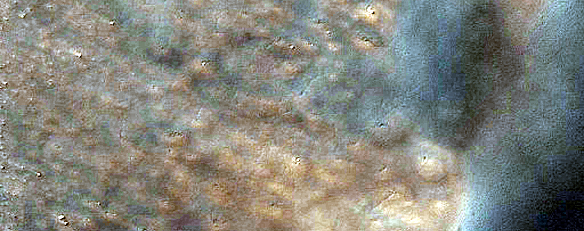 USGS Dune Database Entry Number 2216-694