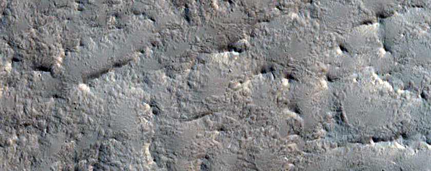 Lucus Planum
