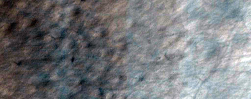 USGS Dune Database Entry Number 1115-656