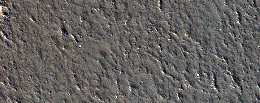 Terrain in Utopia Planitia