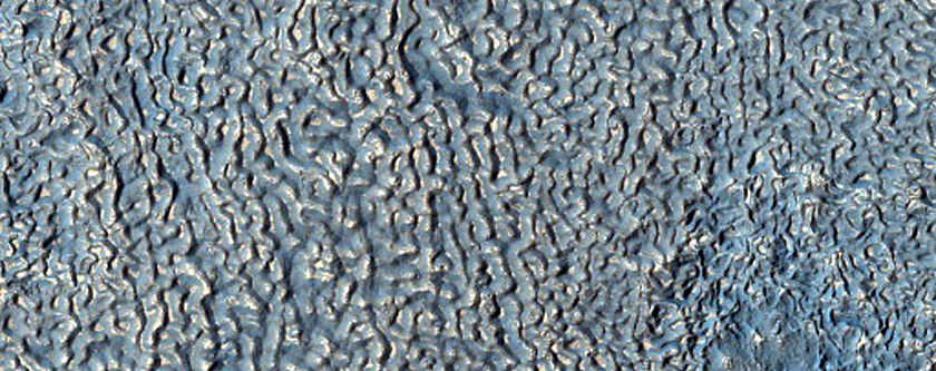 Brain Terrain on Floor of Crater in Claritas Fossae