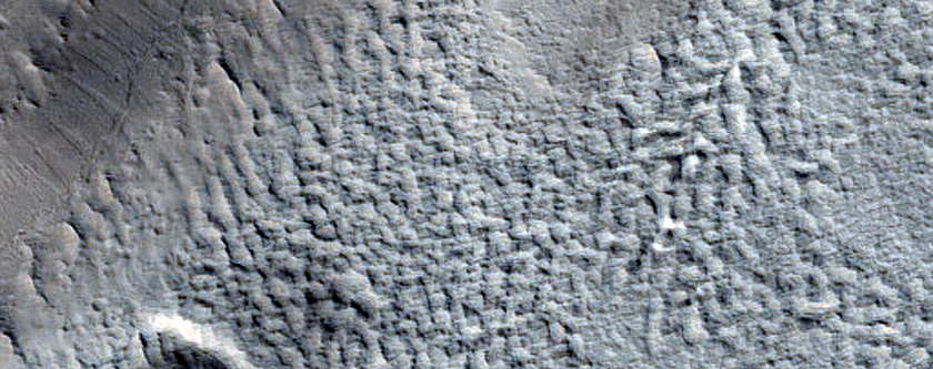 Regolith Textures in Tempe Fossae
