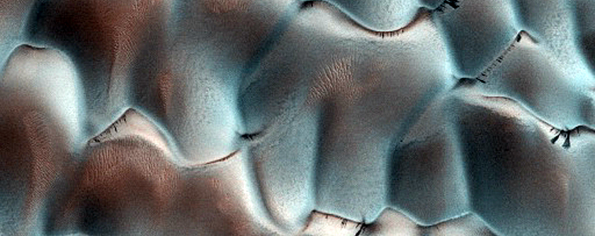 Dune Monitoring in Lyot Crater