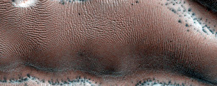 Dune Monitoring