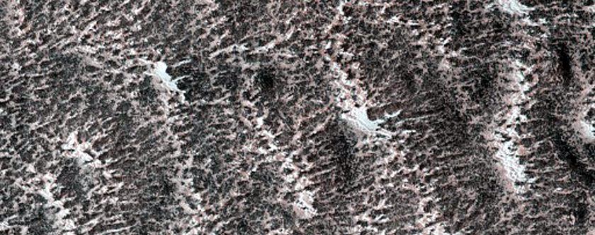 Frost Monitoring at Gan Crater