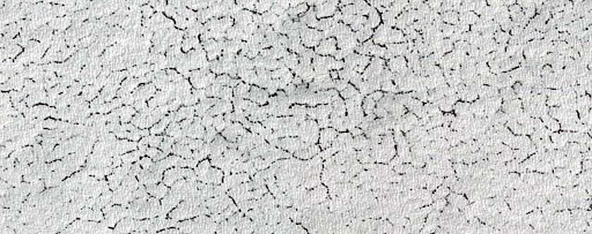 Searching for Changes on South Polar Layered Deposit