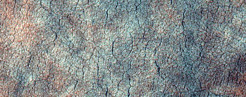 Scalloped Depressions in Utopia Planitia
