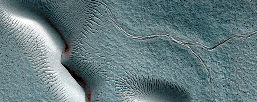 Dune Monitoring