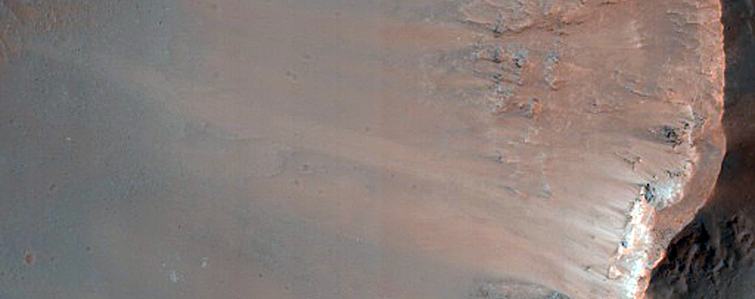 Gully Monitoring