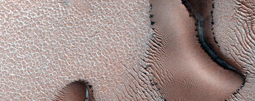 Dune Monitoring in Crater