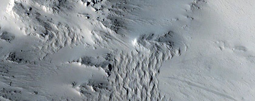 Crater Rim near Apollinaris Mons