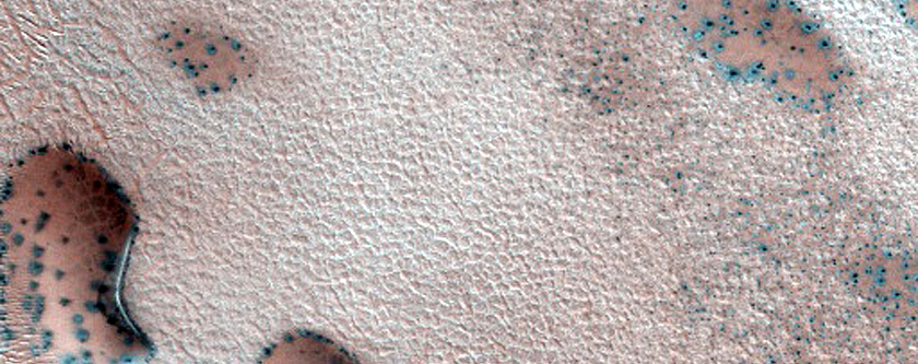 Dune Monitoring in Crater