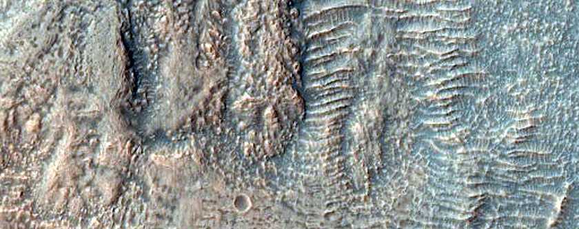 Gully Monitoring