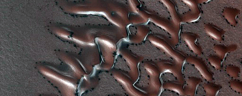 Dune Monitoring in Crater