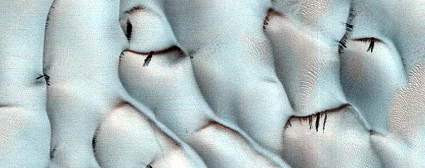 Lyot Crater Dune Changes