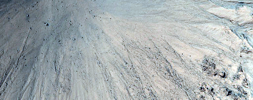 Gully Monitoring