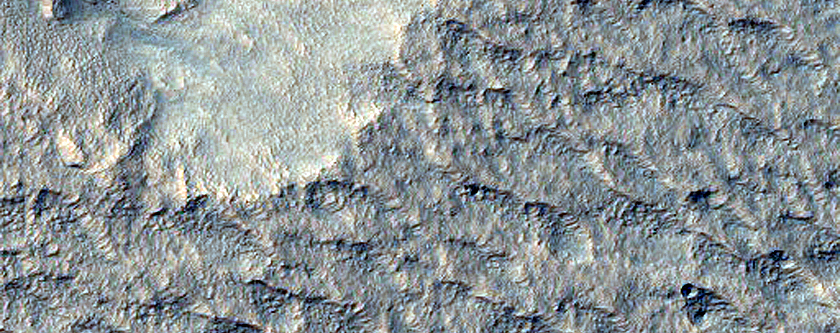 Scarp Monitoring