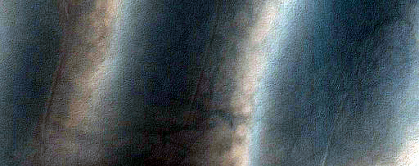 USGS Dune Database Entry Number 2216-690