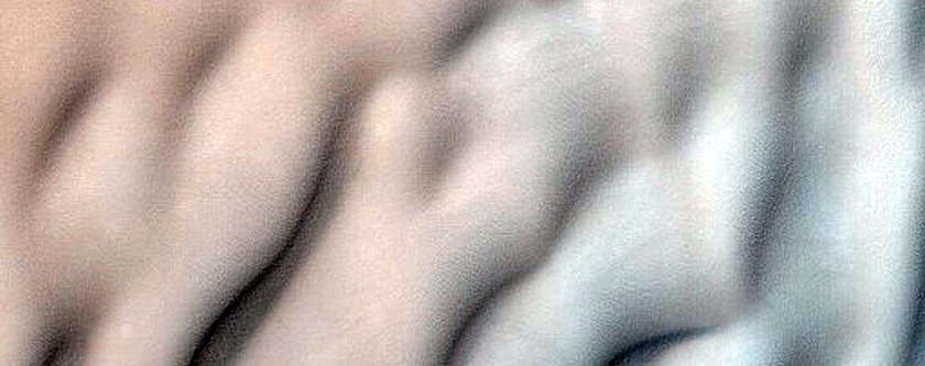 USGS Dune Database Entry Number 1121-681