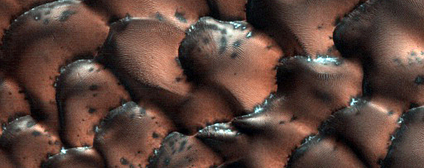 Dune Monitoring in Crater