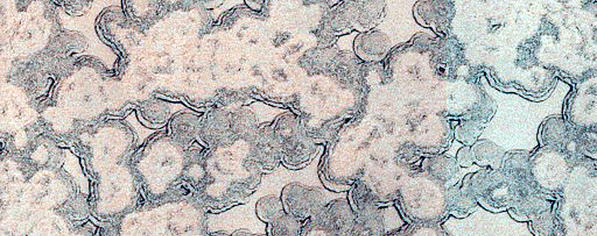 South Polar Residual Cap Site