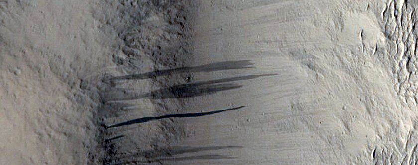 Southern Amazonis Planitia