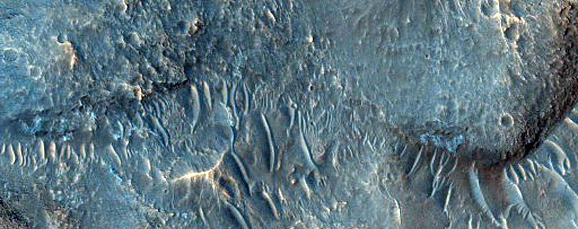 Osuga Valles Depression and Part of Relict Channel