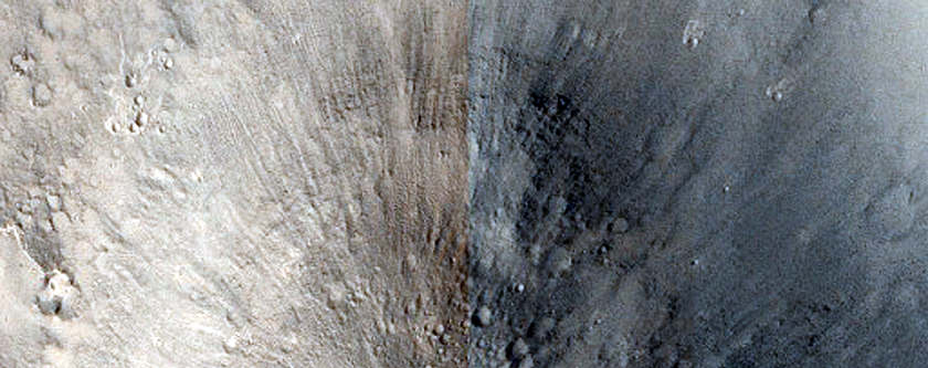 Terrain Sample