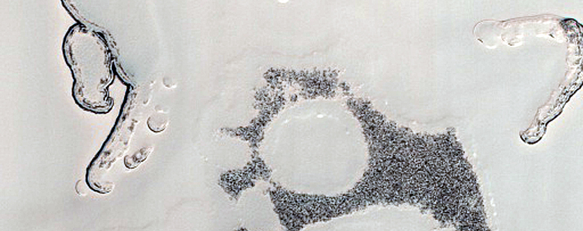 Terrain Sample