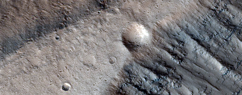 Terrain Sample