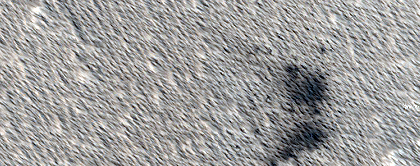 Candidate Recent Impact Site