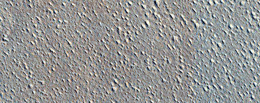 Terrain Sample North of Elysium Planitia