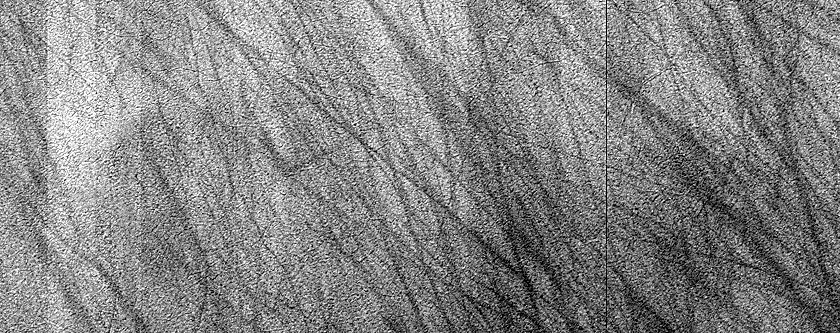 Terrain Sample
